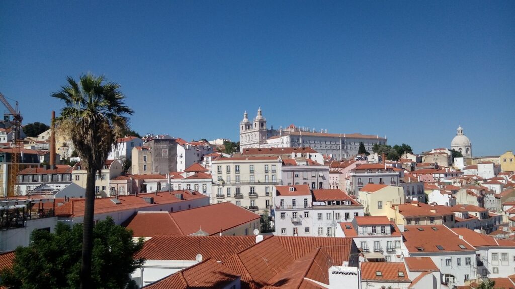 Traditional red-roofed white buildings under a perfect blue sky. A palm tree in the foreground.